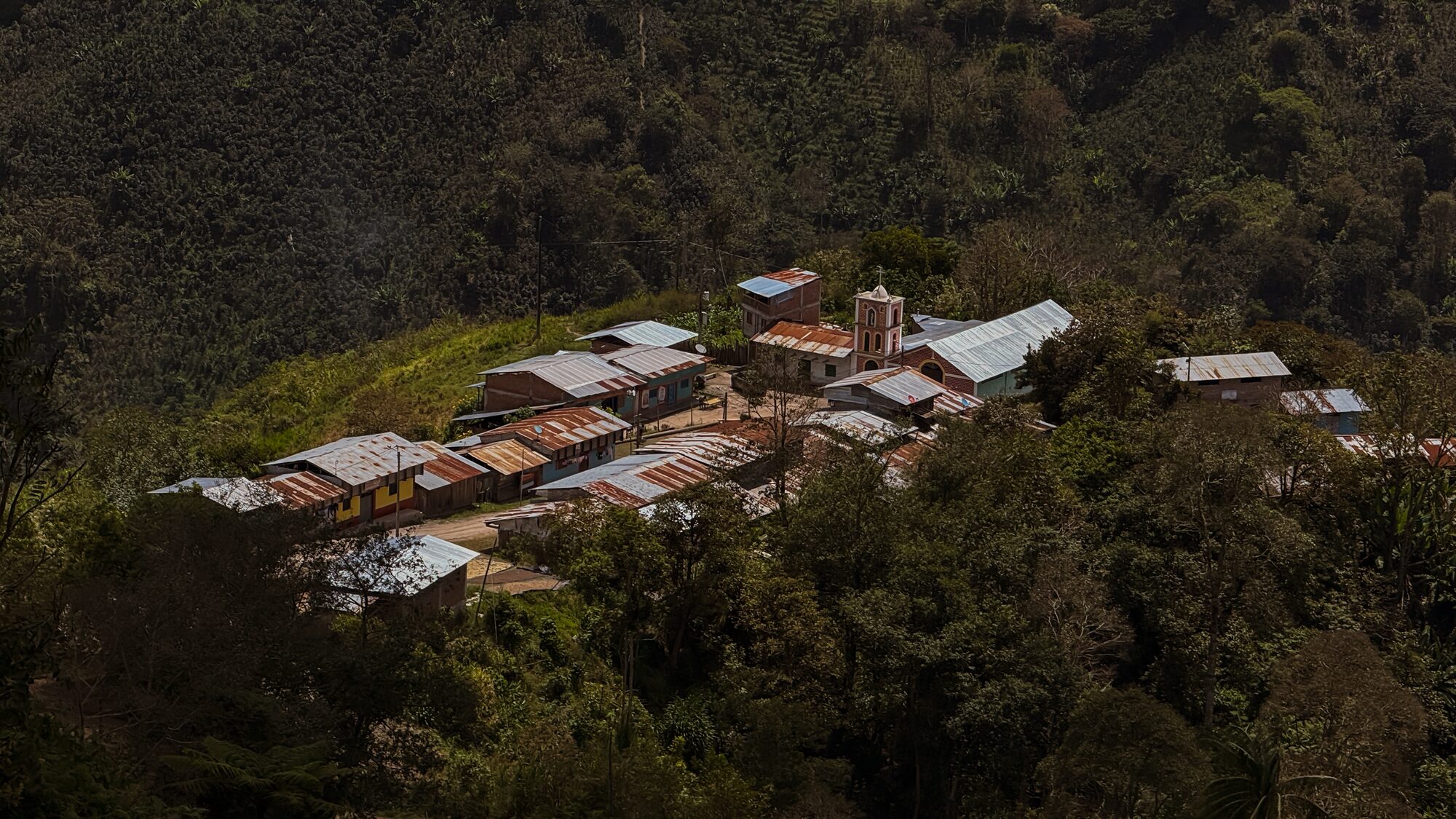 Paisaje de la selva central, zona cafetalera de Villa Rica, Pasco